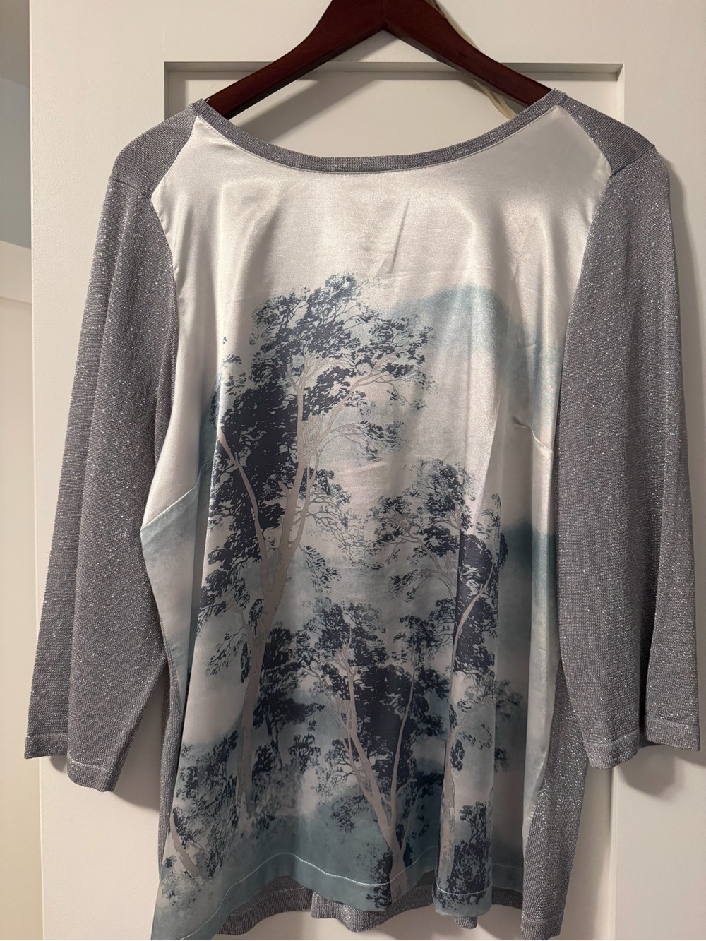 Women's Silver-Gray Scenic Print Raglan Long Sleeve Top